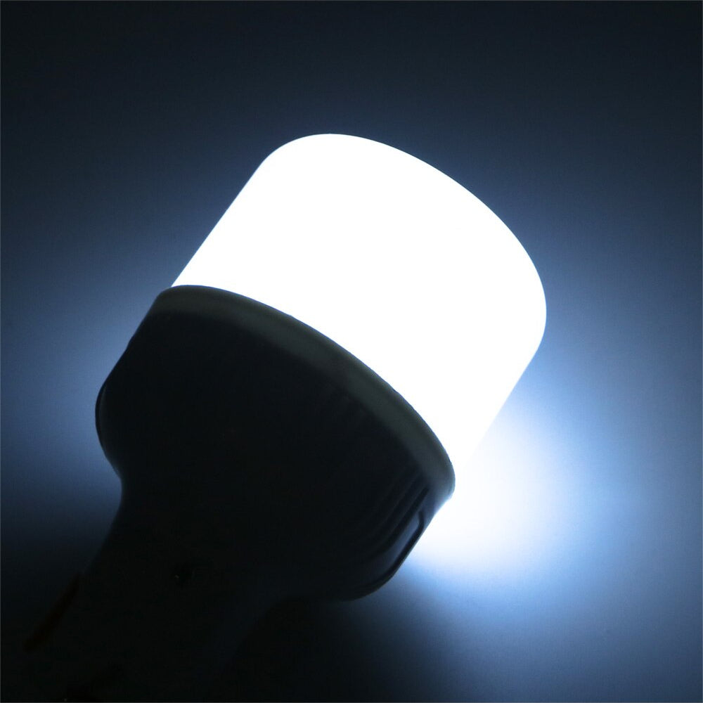 60W Rechargeable LED Lamp Bulb - Perfect For Camping, Fishing, And Emergency Lighting!